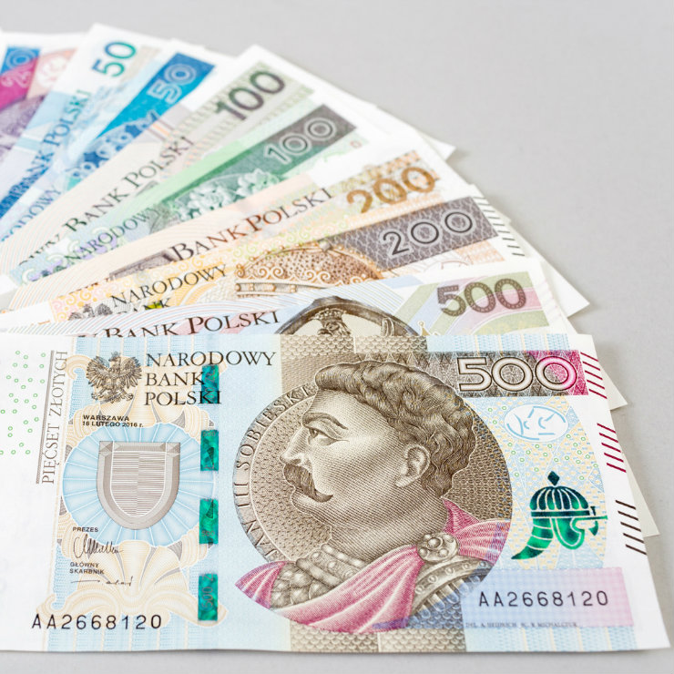 Nineteen years of the floating PLN