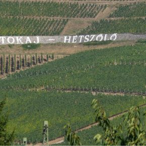 Buying the farm in Hungary